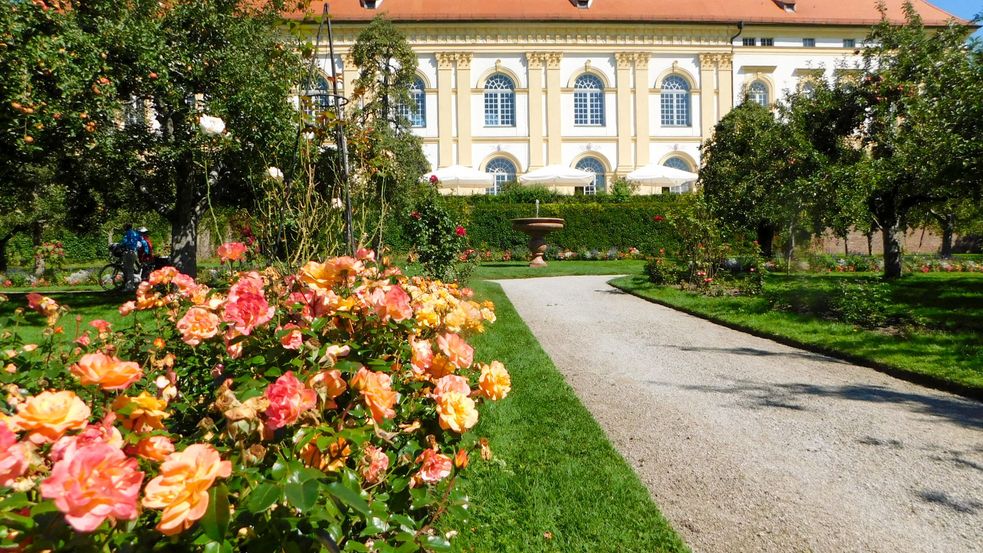 Rosa und gelbe Rosen und Apfelbäume auf einer Wiese im Hintergrund das Schlossgebäude